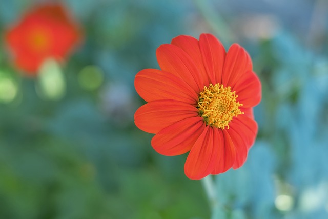 某队因违规遭重罚，官方回应惹争议