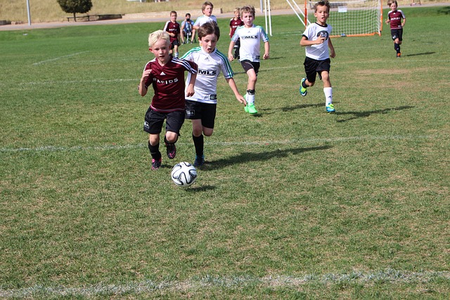 周六006日职分析：京都不死鸟VS神户胜利船